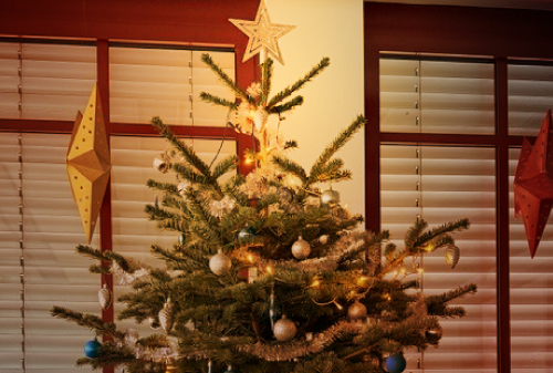 Bild vom geschmückten Weihnachtsbaum